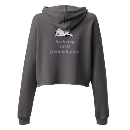 Gray crop top hoodie with lamb image on the back and purple text